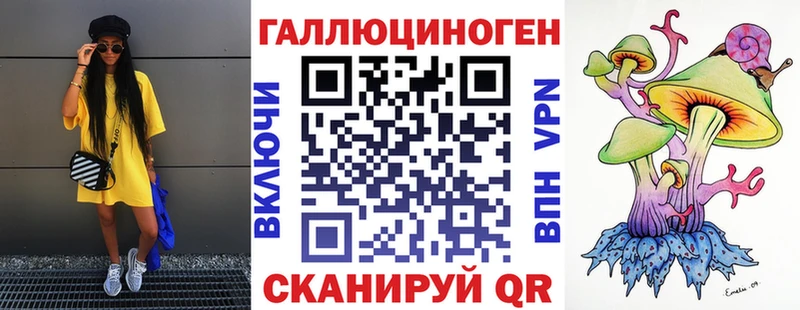 Купить закладки  Дзержинск  Галлюциногенные грибы GOLDEN TEACHER 